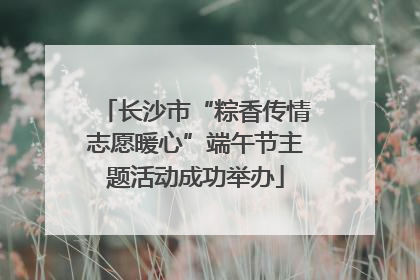 长沙市“粽香传情志愿暖心”端午节主题活动成功举办