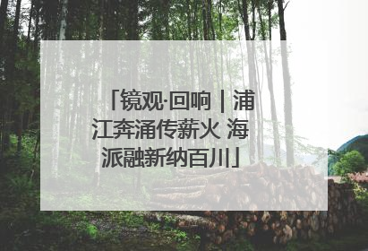 镜观·回响｜浦江奔涌传薪火 海派融新纳百川