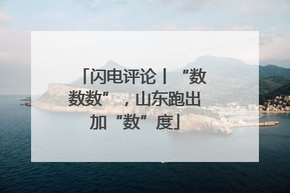 闪电评论丨“数数数”，山东跑出加“数”度