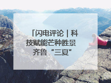 闪电评论｜科技赋能芒种胜景 齐鲁“三夏”画卷更壮美