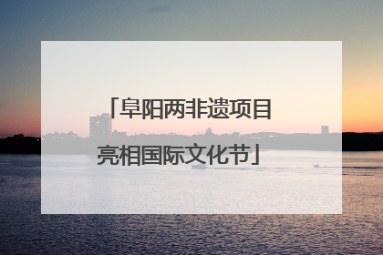 阜阳两非遗项目亮相国际文化节