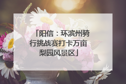阳信：环滨州骑行挑战赛打卡万亩梨园风景区