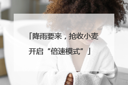 降雨要来，抢收小麦开启“倍速模式”