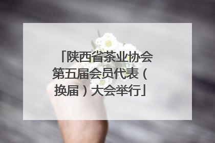 陕西省茶业协会第五届会员代表（换届）大会举行