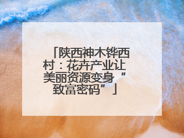 陕西神木铧西村：花卉产业让美丽资源变身“致富密码”