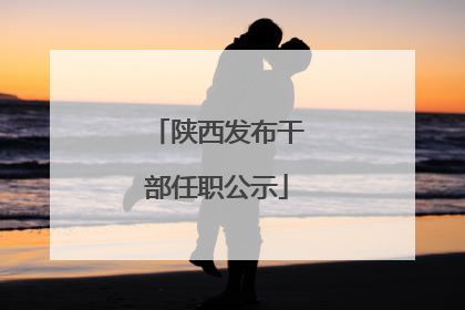 陕西发布干部任职公示
