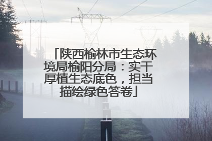 陕西榆林市生态环境局榆阳分局：实干厚植生态底色，担当描绘绿色答卷