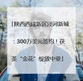 陕西西咸新区泾河新城：300万美元签约！茯茶“金花”绽放中亚