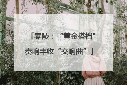 零陵：“黄金搭档”奏响丰收“交响曲”
