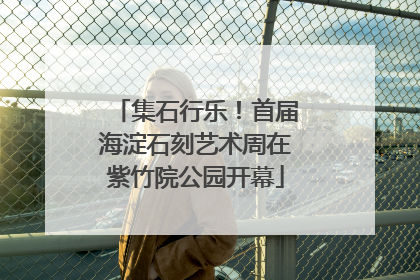 集石行乐！首届海淀石刻艺术周在紫竹院公园开幕