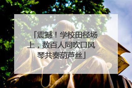 震撼！学校田径场上，数百人同吹口风琴共奏葫芦丝
