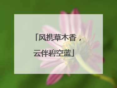 风携草木香，云伴碧空蓝