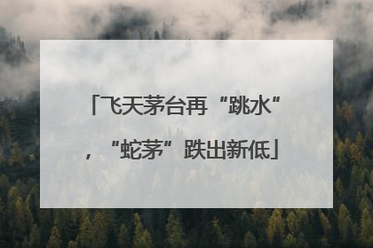 飞天茅台再“跳水”，“蛇茅”跌出新低