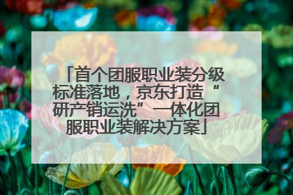 首个团服职业装分级标准落地，京东打造“研产销运洗”一体化团服职业装解决方案