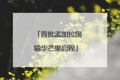 首批孟加拉国输华芒果启程