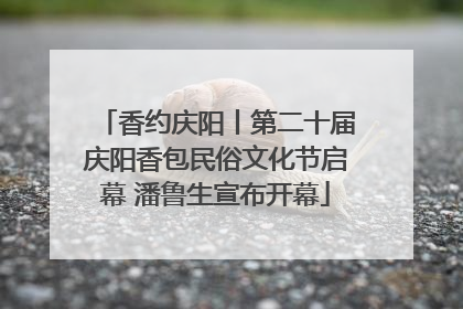 香约庆阳丨第二十届庆阳香包民俗文化节启幕 潘鲁生宣布开幕