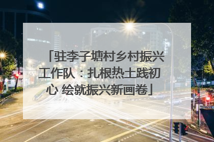 驻李子塘村乡村振兴工作队：扎根热土践初心 绘就振兴新画卷
