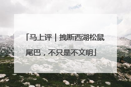 马上评｜拽断西湖松鼠尾巴，不只是不文明