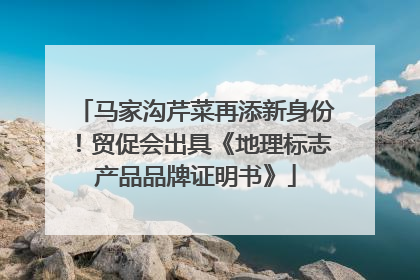 马家沟芹菜再添新身份！贸促会出具《地理标志产品品牌证明书》