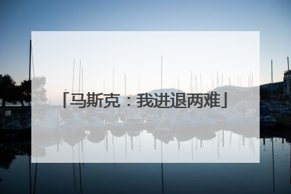 马斯克：我进退两难