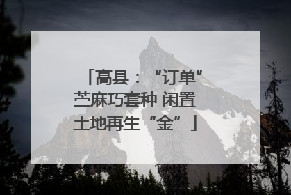高县：“订单”苎麻巧套种 闲置土地再生“金”