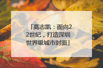 高志凯：面向22世纪，打造深圳世界级城市封面