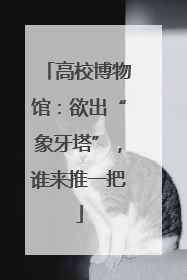高校博物馆：欲出“象牙塔”，谁来推一把