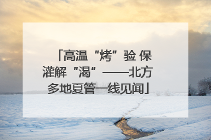 高温“烤”验 保灌解“渴”——北方多地夏管一线见闻