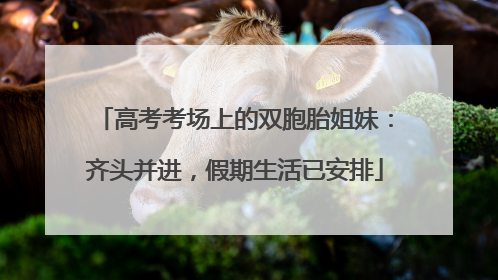 高考考场上的双胞胎姐妹：齐头并进，假期生活已安排