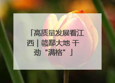 高质量发展看江西｜赣鄱大地 干劲“满格”