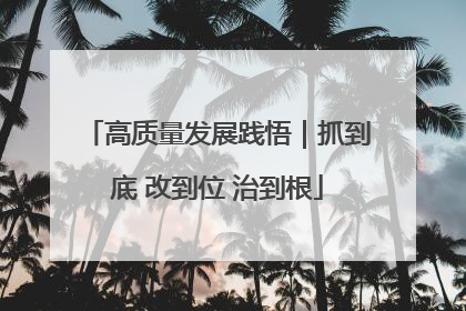 高质量发展践悟｜抓到底 改到位 治到根