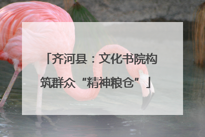 齐河县：文化书院构筑群众“精神粮仓”
