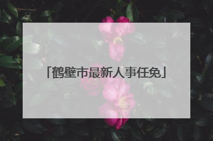 鹤壁市最新人事任免