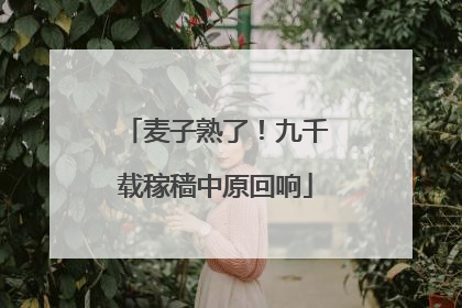 麦子熟了！九千载稼穑中原回响