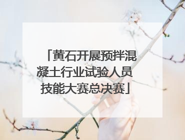 黄石开展预拌混凝土行业试验人员技能大赛总决赛