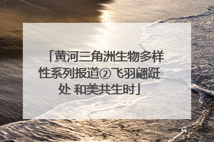 黄河三角洲生物多样性系列报道②飞羽翩跹处 和美共生时