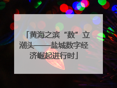 黄海之滨“数”立潮头——盐城数字经济崛起进行时
