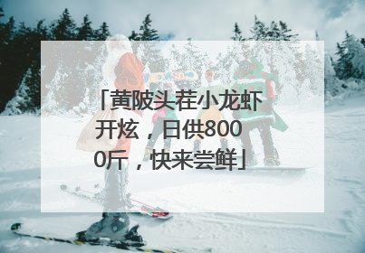 黄陂头茬小龙虾开炫，日供8000斤，快来尝鲜
