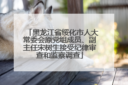 黑龙江省绥化市人大常委会原党组成员、副主任宋树生接受纪律审查和监察调查