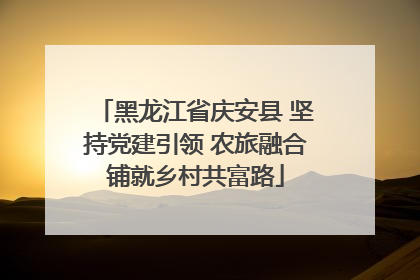 黑龙江省庆安县 坚持党建引领 农旅融合铺就乡村共富路