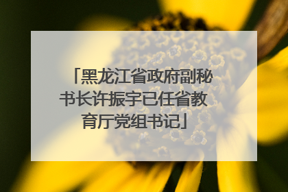 黑龙江省政府副秘书长许振宇已任省教育厅党组书记