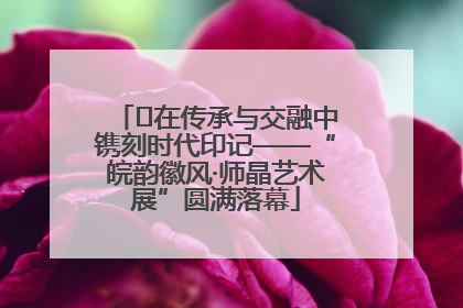 ﻿在传承与交融中镌刻时代印记——“皖韵徽风·师晶艺术展”圆满落幕