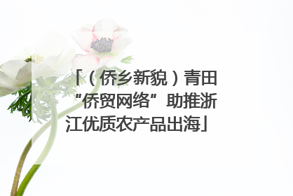 （侨乡新貌）青田“侨贸网络”助推浙江优质农产品出海