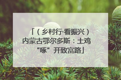 （乡村行·看振兴）内蒙古鄂尔多斯：土鸡“啄”开致富路