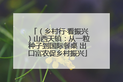 （乡村行·看振兴）山西天镇：从一粒种子到国际餐桌 出口富农促乡村振兴