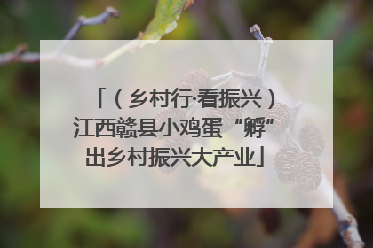 （乡村行·看振兴）江西赣县小鸡蛋“孵”出乡村振兴大产业