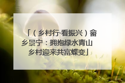 （乡村行·看振兴）畲乡景宁：拥抱绿水青山 乡村迎来共富蝶变