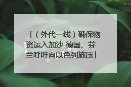 （外代一线）确保物资运入加沙 德国、芬兰呼吁向以色列施压