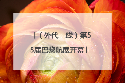 （外代一线）第55届巴黎航展开幕