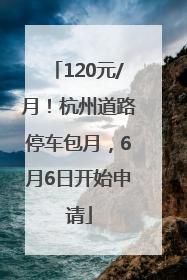 120元/月！杭州道路停车包月，6月6日开始申请